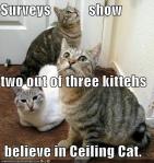cats believe