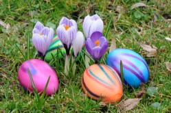 easter eggs canstockphoto3397918 (2)
