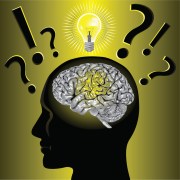 brain canstockphoto8956548 (2)