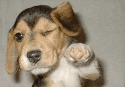 fist bump wirters block