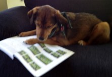 Kelda studies her next move