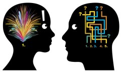 brain both sides canstockphoto16123448