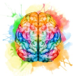 41907601 - beautiful vector image with nice watercolor brain